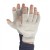 Raynauds Disease Silver Gloves & Fingerless Silver Gloves Bundle