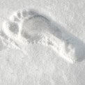 Cold Hands and Feet: Raynauds Symptoms