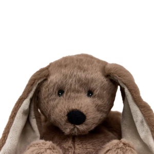 Warmies Microwavable Soft Toy Bunny - RaynaudsDisease.com