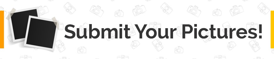 Submit Your Photos To Our Online Gallery!